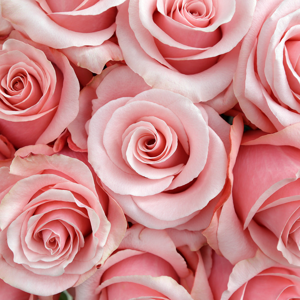 Be Sweet