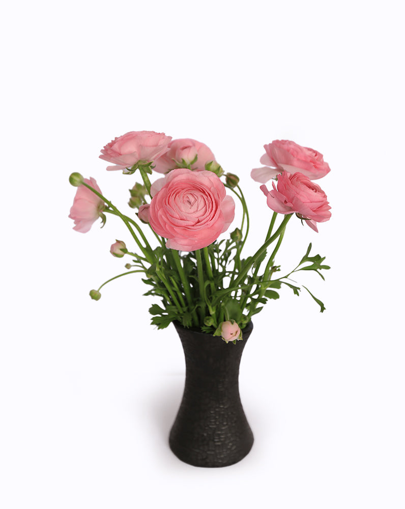 Elegance Rosa