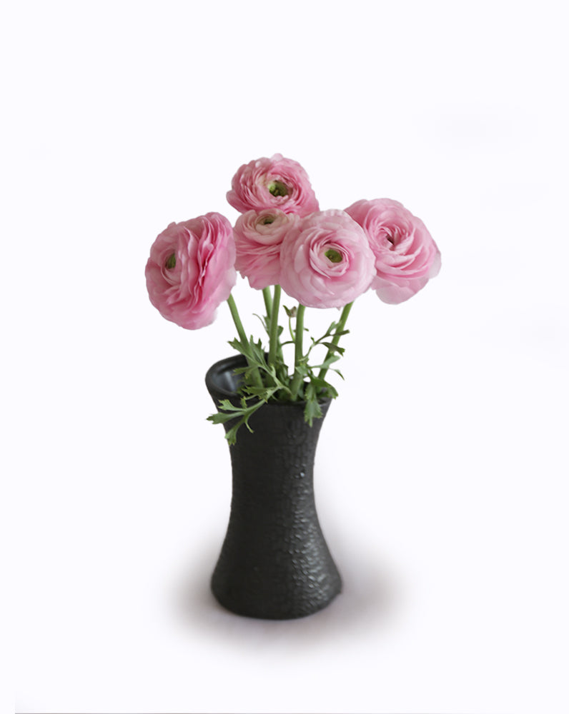 Elegance Rosa Chiaro