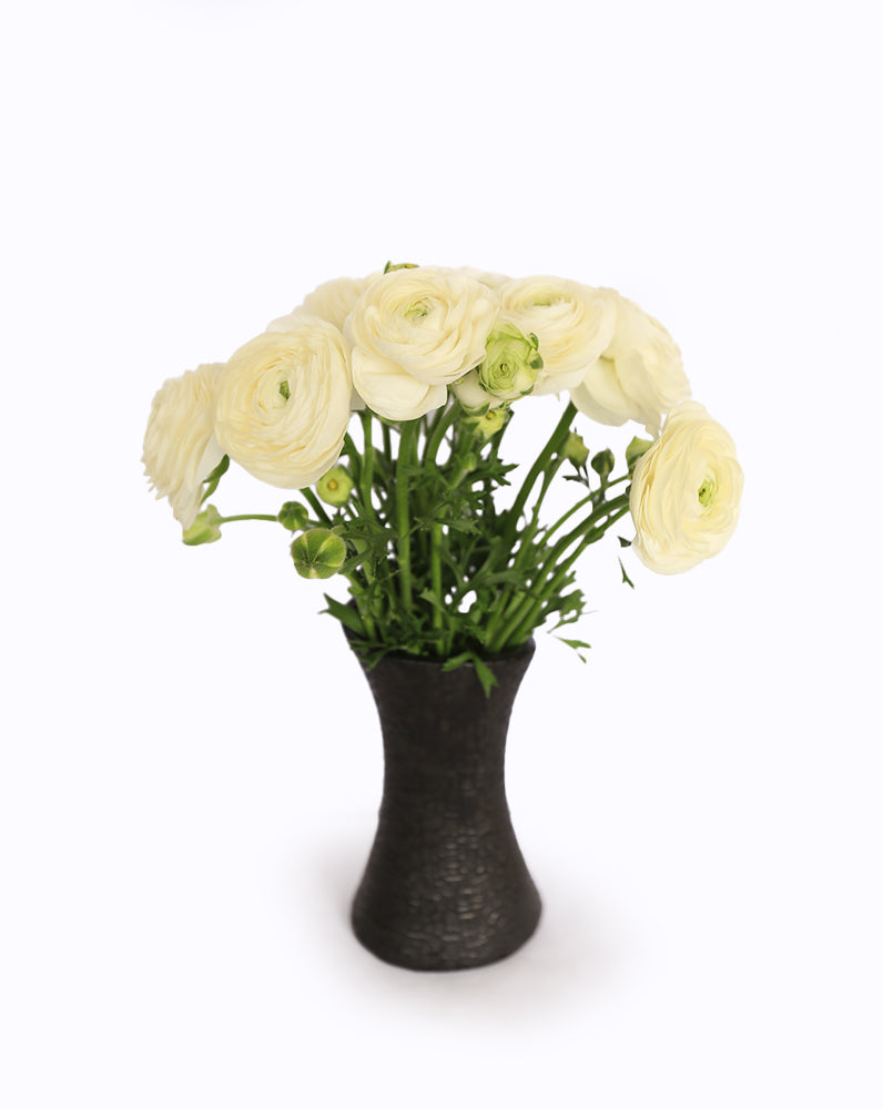 Elegance Blanco