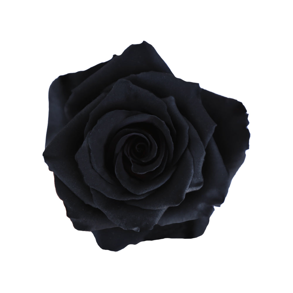Black Roses
