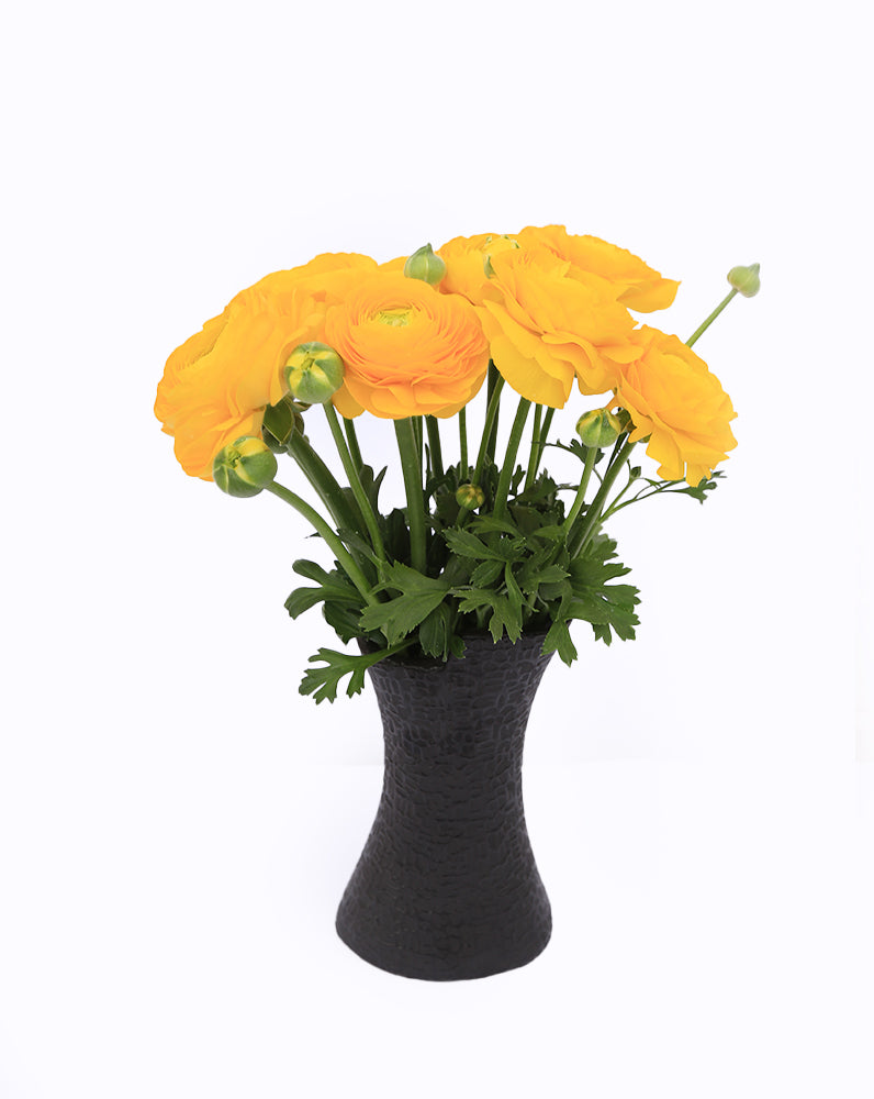 Elegance Giallo