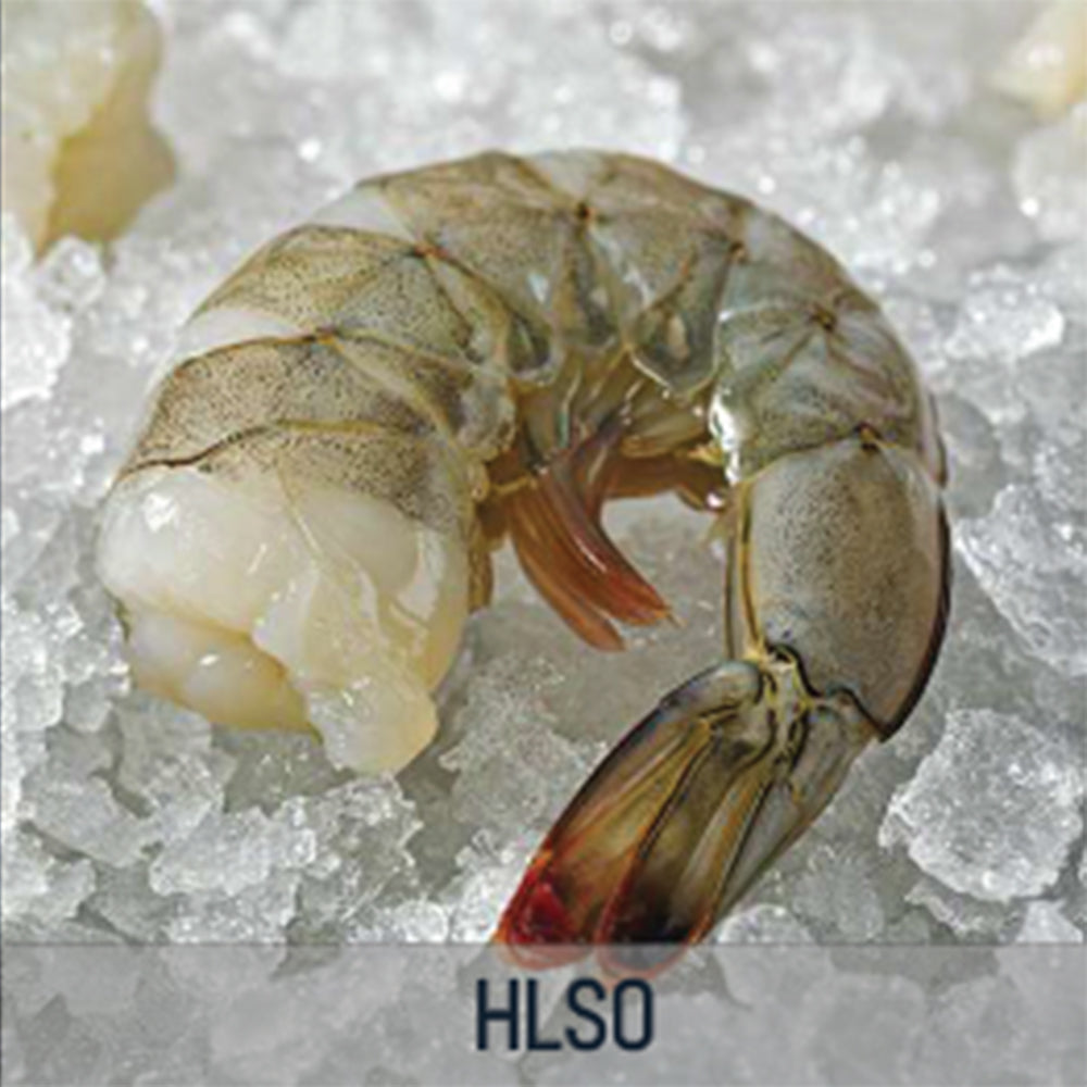 White Shrimp - HLSO