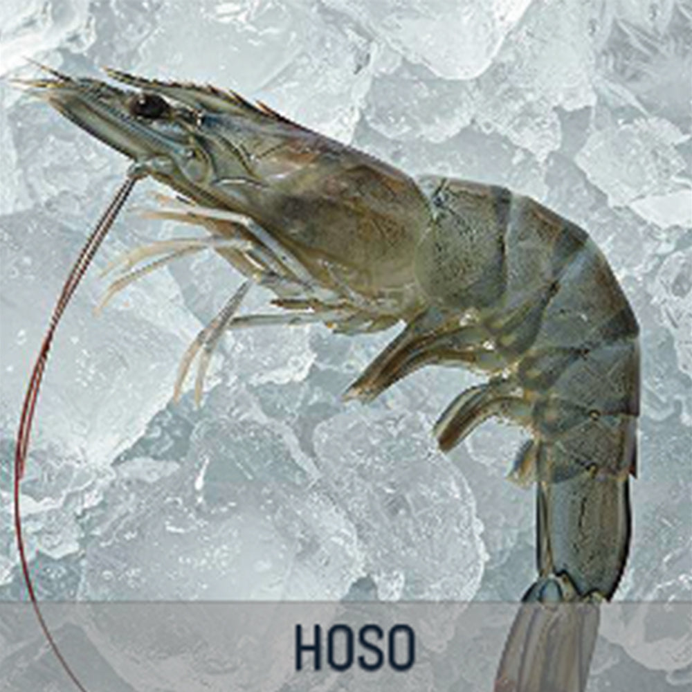 White Shrimp - HOSO