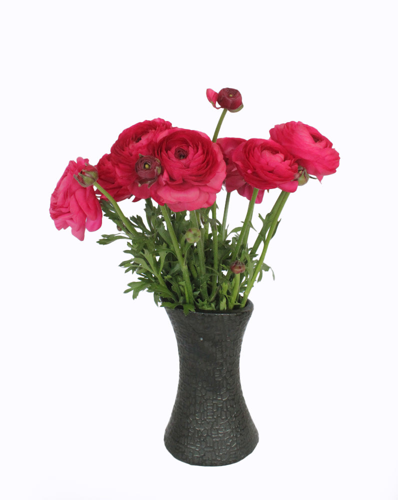 Elegance Hot Pink