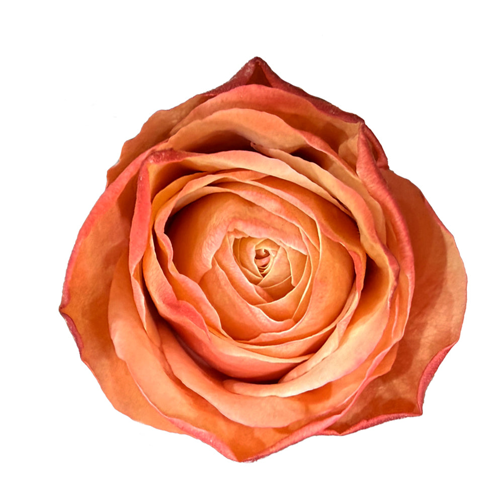 Kahala