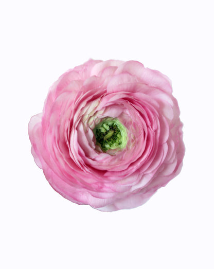 Elegance Rosa Chiaro