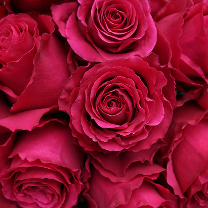 V.I.Pink